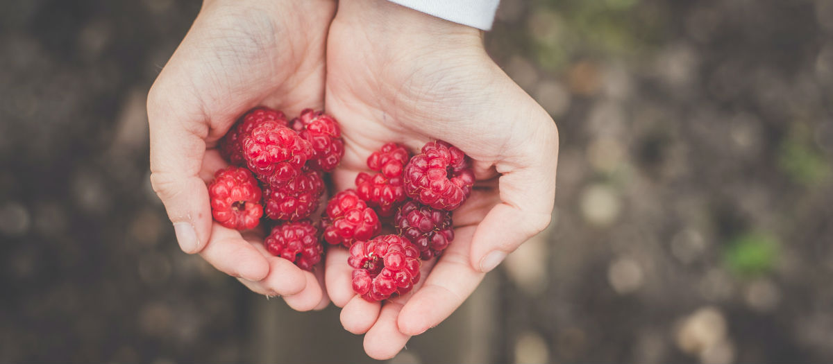 Developing a Giving Heart